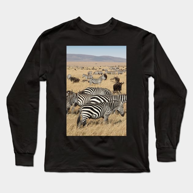 Zebra Migration, and Wildebeest, Maasai Mara, Kenya Long Sleeve T-Shirt by Carole-Anne